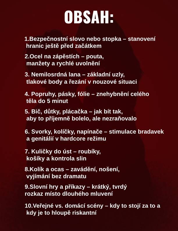 BDSM pro muže 2.0 Kompletní průvodce dominací v ložnici