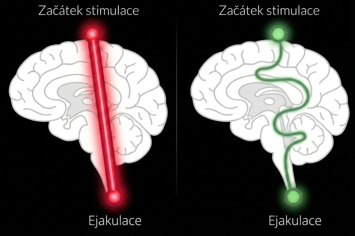 PROČ TVÉ TĚLO ROZHODUJE ZA TEBE?